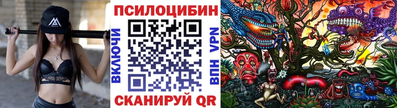 Псилоцибиновые грибы мухоморы  сайты даркнета официальный сайт  Сухой Лог  где можно купить  