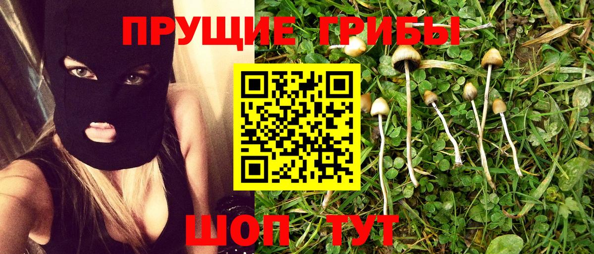 Псилоцибиновые грибы прущие грибы Сухой Лог